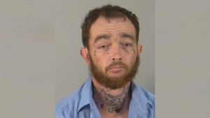 Accused Minivan Thief Arrested In Lake County