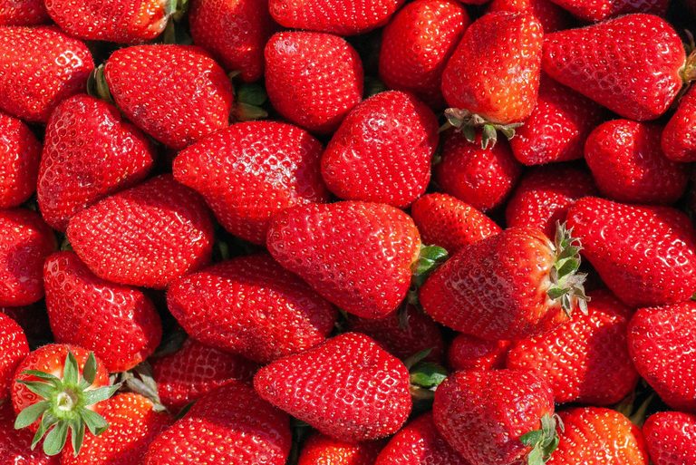 Alabama Strawberries Found With Pesticide Residues