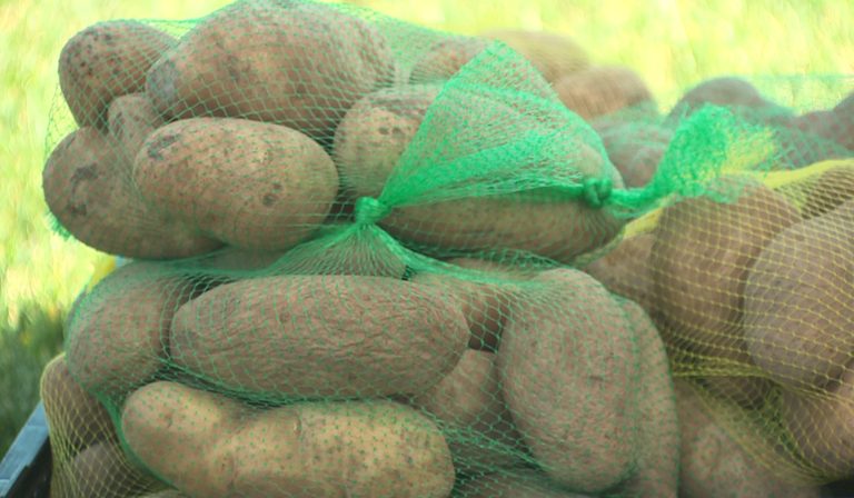 Albuquerque Food Is Medicine Produce Fair Combats Food Insecurity