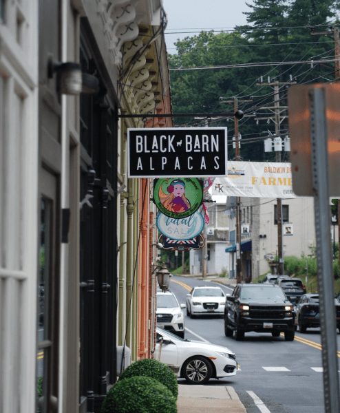 Alpaca Farm Opens Storefront In Sykesville