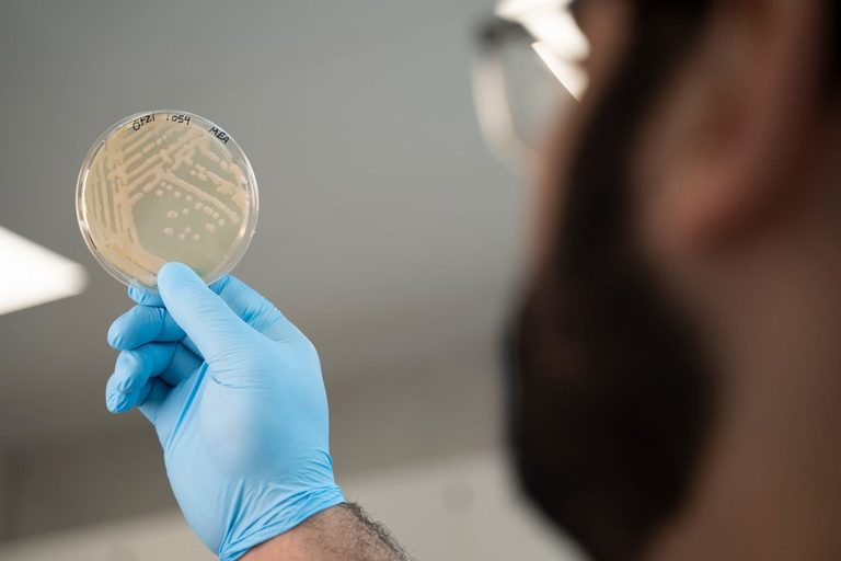 Ancient Microbes Found In Tzi The Iceman Offer New Insights