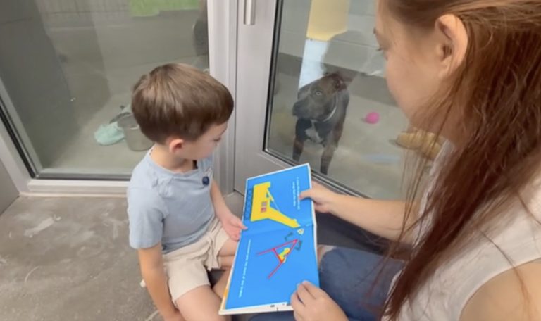 Arizona Kids Read To Shelter Dogs