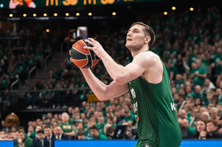 Arizona Wildcats In Pro Basketball