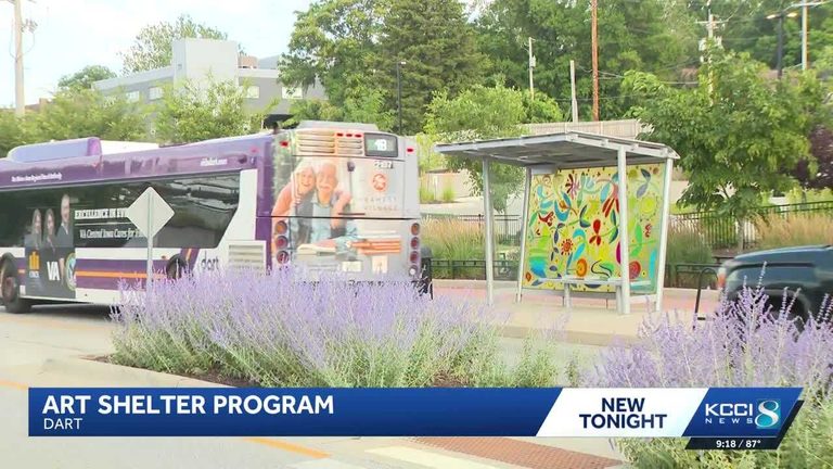 Art Shelter Program Adds Color To Dart Routes
