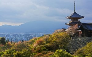 Auburn Student Missing In Japan Found Deceased Family Mourns
