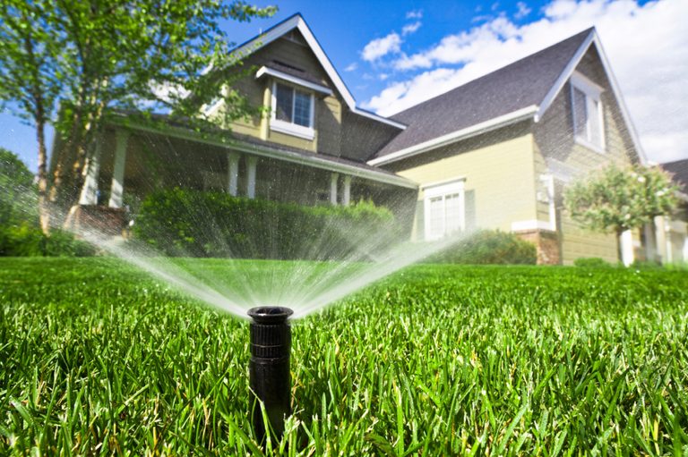 Austin Water Offers Tips To Save Water Money