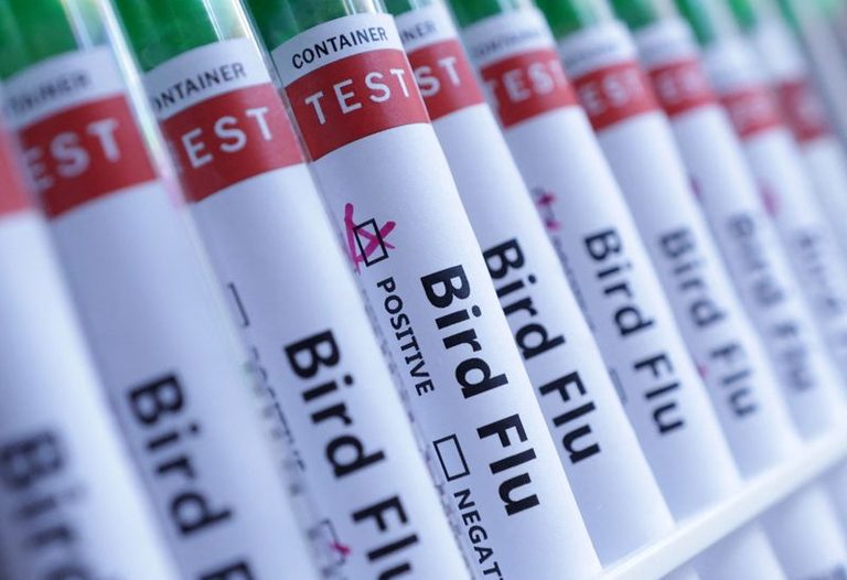 Australia Confirms First Mainland H5N1 Bird Flu Case