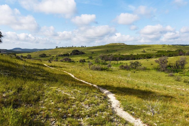 Balcones Canyonlands Refuge Expands To Protect Endangered Warbler
