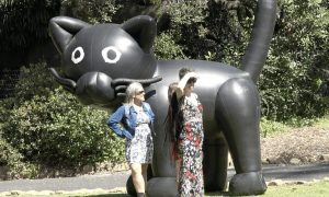 Basil S Big Bash Raises Funds For Asap Cats