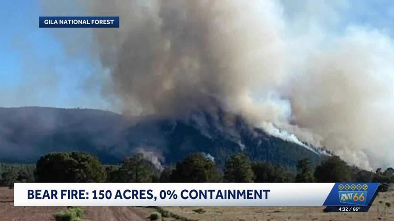 Bear Fire Burns 150 Acres In Gila National Forest