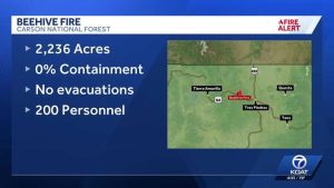 Beehive Fire Burns In Carson National Forest