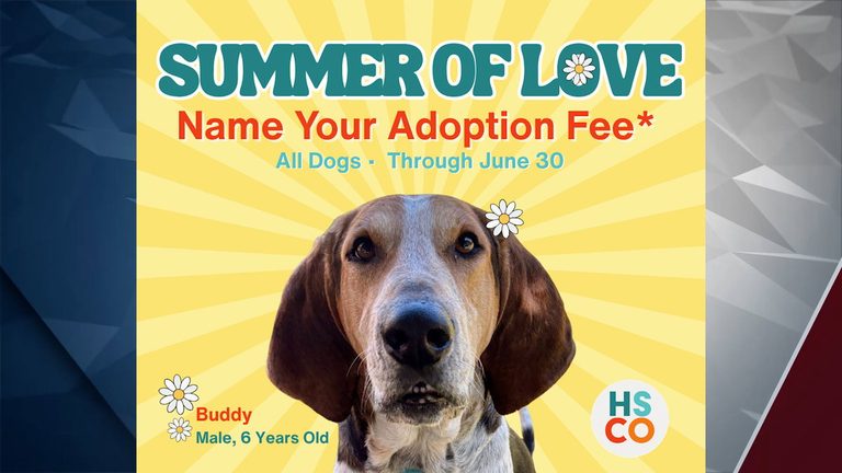 Bend Humane Society Offers Name Your Price Dog Adoptions
