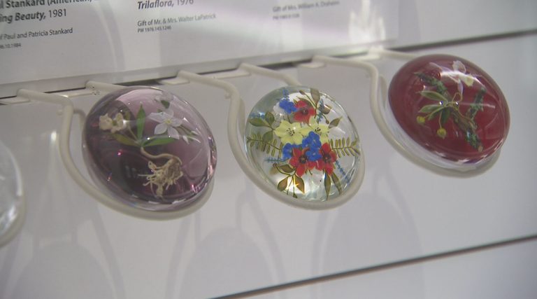 Bergstrom Mahler Museum Unveils 800 000 Upgrades