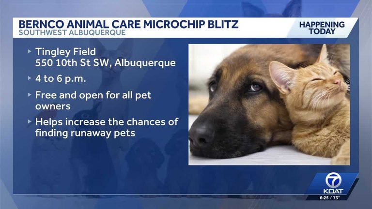 Bernalillo County Offers Free Pet Microchipping