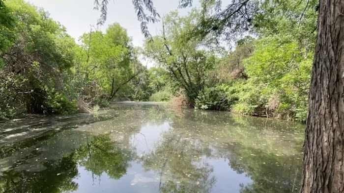 Bexar County Group Files Reports Over Stormwater Runoff