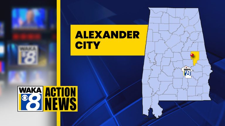 Black Bear Sighting In Alexander City
