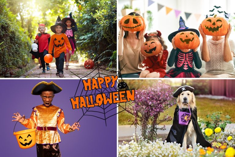 Boo In The Park Seeks Trunk Or Treat Hosts