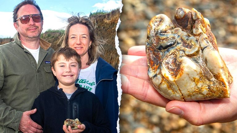 Boy Finds 1 8M Year Old Fossil