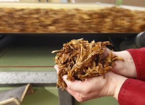 British American Tobacco To Cut 5 500 Jobs