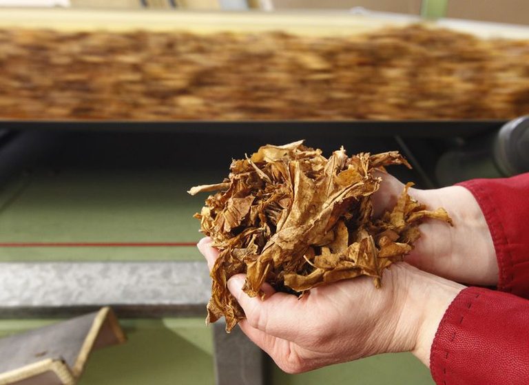 British American Tobacco To Cut 5 500 Jobs