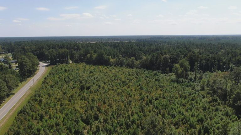 Brunswick County In Running For Deep Sea Minerals Plant