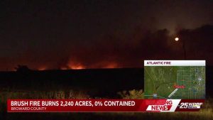 Brush Fire Burns In Broward County