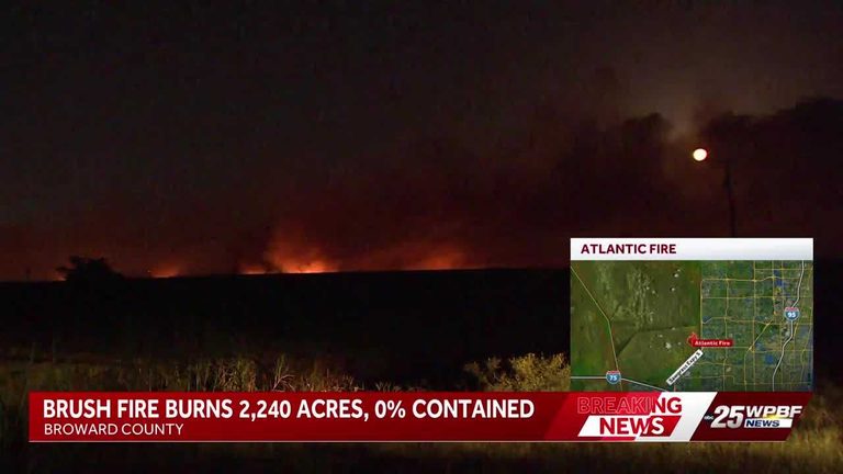 Brush Fire Burns In Broward County