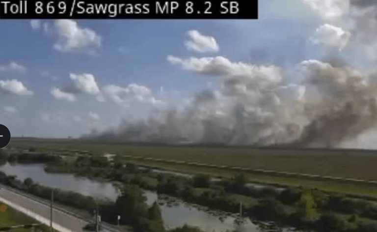 Brush Fire Burns In Western Broward County
