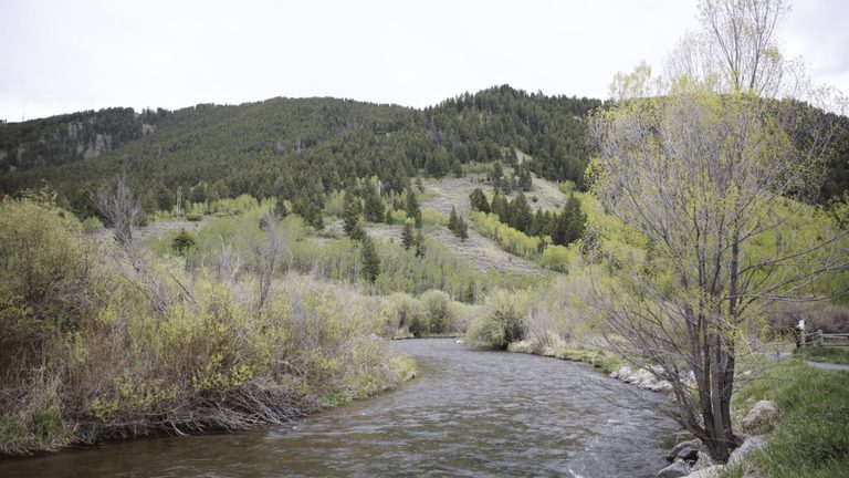 Btnf Hosts Open House For Wildfire Fuel Reduction
