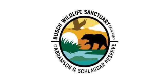 Busch Wildlife Sanctuary Sees 8 Increase In Patients