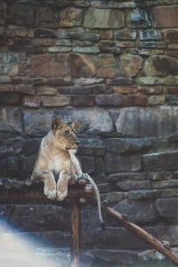 Fort Worth Zoo — Fort Worth