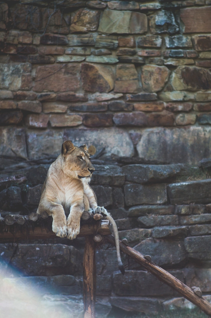 Fort Worth Zoo — Fort Worth