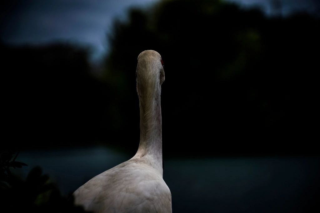 Zoo Miami — Miami
