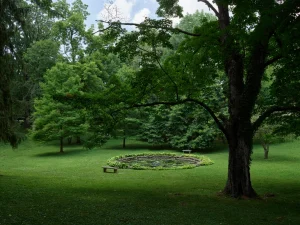Lexington Cemetery — Lexington