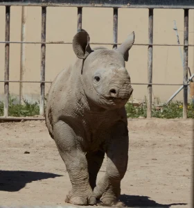 Sedgwick County Zoo — Wichita