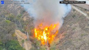 California Arson Suspect Caught