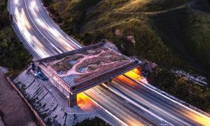 Caltrans Grant To Enhance Wildlife Corridors