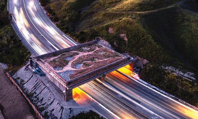 Caltrans Grant To Enhance Wildlife Corridors