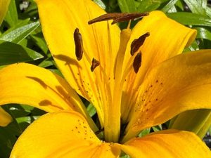 Casper Expects Gusty Winds Cooler Temps