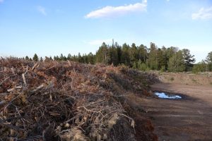 Casper Installs Video Monitoring At Slash Pile