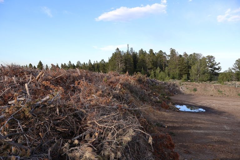 Casper Installs Video Monitoring At Slash Pile