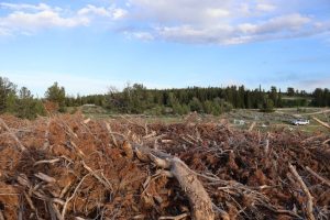 Casper Mountain Slash Pile Remains Unburned