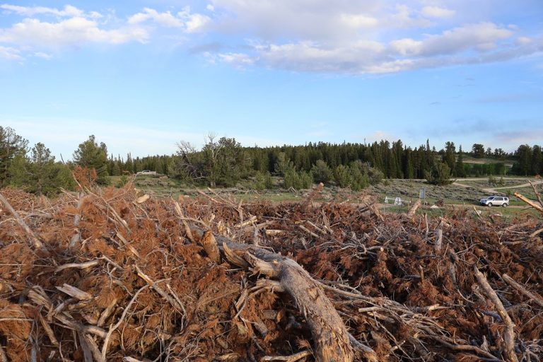 Casper Mountain Slash Pile Remains Unburned