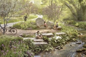 Cedar Park Parks Updates