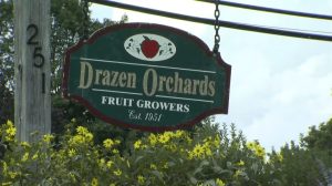 Cheshire Orchard Closes After 75 Years