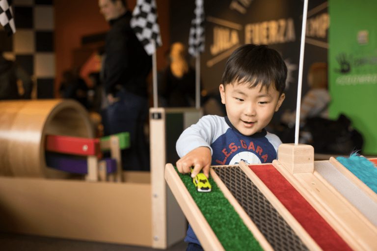 Chicago Museums Offer Free Admission