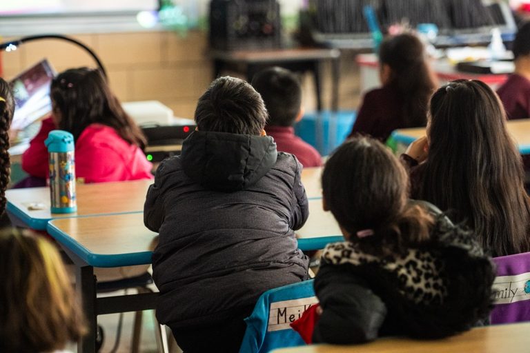 Chicago School Board Lacks Noncitizen Advisory Board