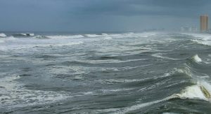 Clearwater Library Hosts Hurricane Prep Event