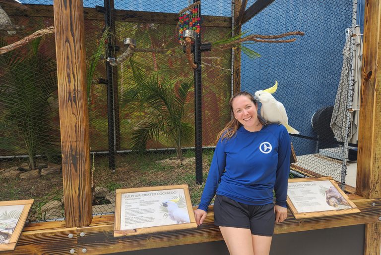 Clearwater Marine Aquarium Expands