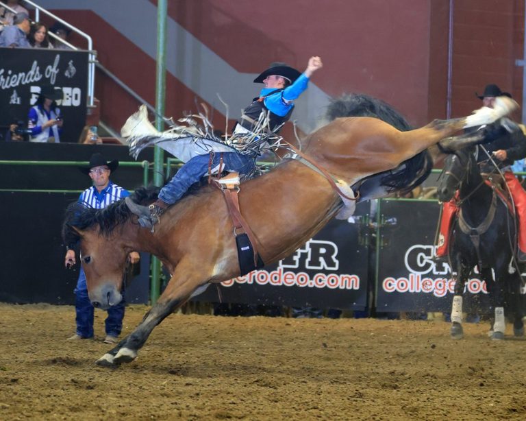 Cnfr Finals Set